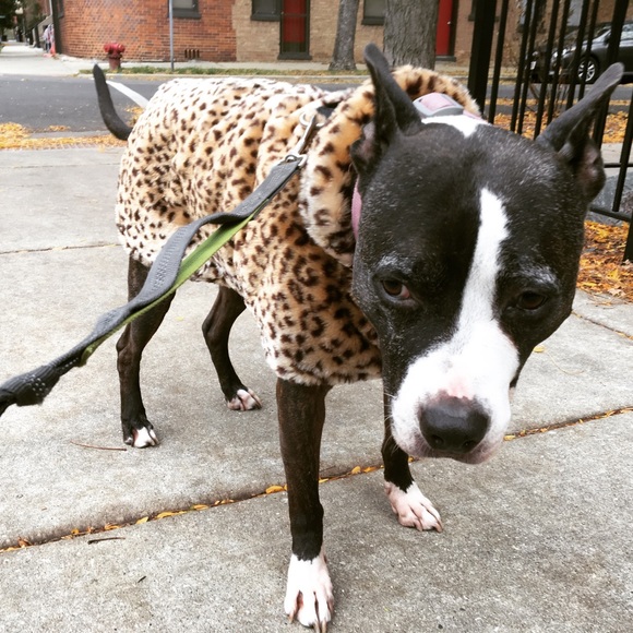 WELCOME! Nice to meet you! I ACCEPT MOST OFFERS! Try me!! - Picture 15 of 16